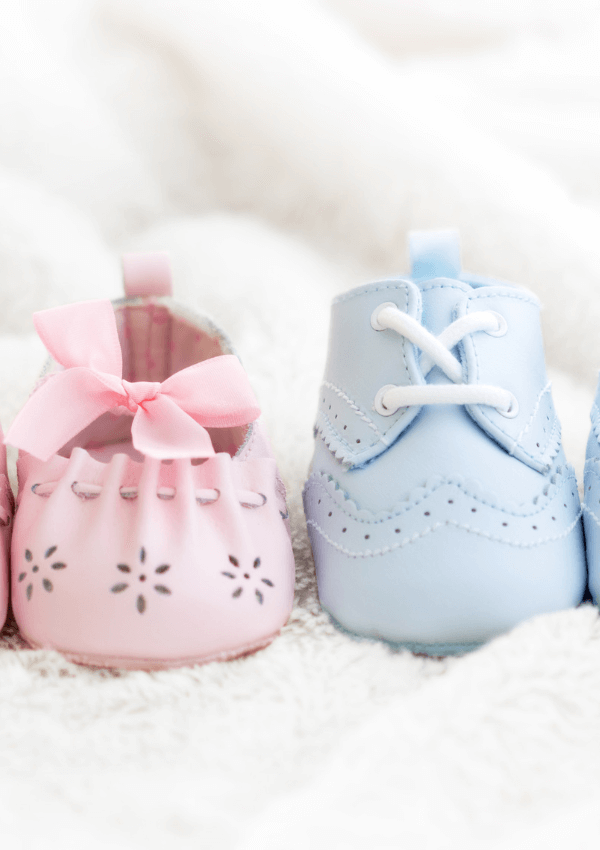 10+ Baby Shower Themes For Twins